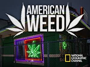 American Weed S01E07 Green Rush 480p HDTV x264-t2b