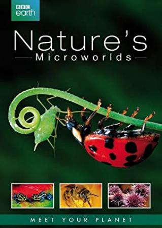 [ Hey visit  ]Natures Microworlds S01E03 HDTV x264-NORiTE
