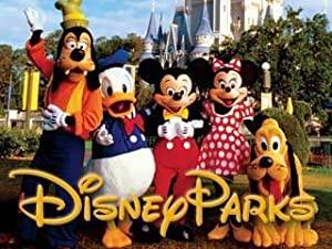 Disney Parks 2014 Vacation Planning DVD