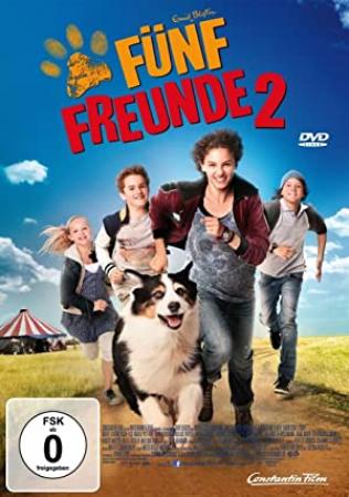 Funf Freunde 2 2013 German AC3 DVDRiP XVi D-iFPD