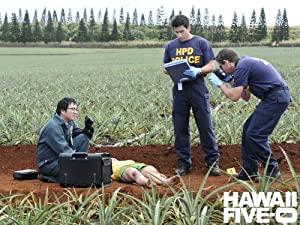 Hawaii Five-0 2010 S02E20 FRENCH LD HDTV XViD-EPZ