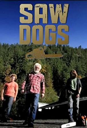 Saw Dogs S01E02 HDTV XviD-CRiMSON