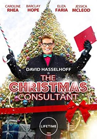 The Christmas Consultant (2012) 720p HDTV X264 Solar