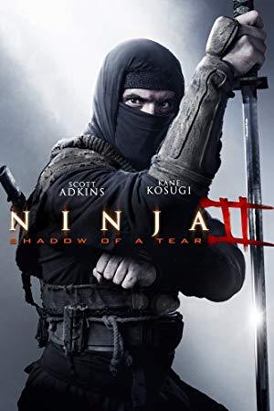 Ninja Shadow of A Tear 2013 HDRip XviD-AQOS