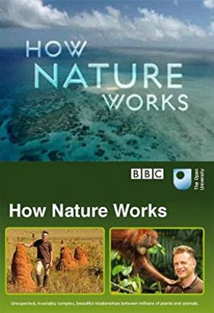 How Nature Works 2012 720p 10bit BluRay x265-budgetbits