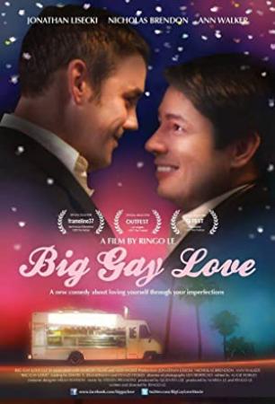 Big Gay Love 2013 DVDRip x264-iNT