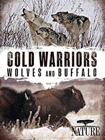 Nature S31E08 Cold Warriors Wolves and Buffalos PROPER XviD
