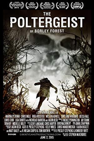 The Poltergeist of Borley Forest 2013 BRRip XviD MP3-XVID