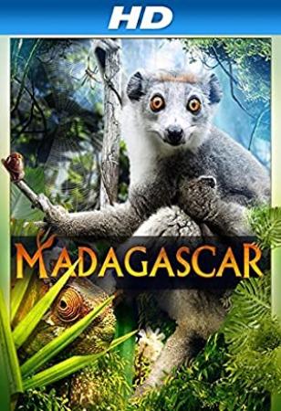 Madagascar 3D 2013 1080p BluRay Half-OU DTS x264-PublicHD