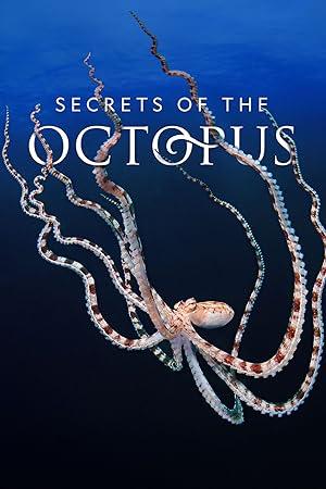 Secrets of the Octopus S01E03 Social Networkers 720p DSNP WEB-DL DDP5.1 H.264-NTb