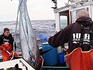 Wicked Tuna S02E09 480p HDTV x264-mSD