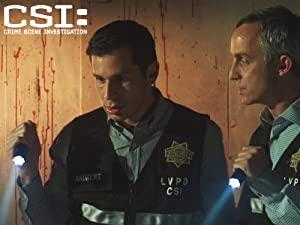 CSI 13x21 (HDTV-x264-LOL)[VTV]