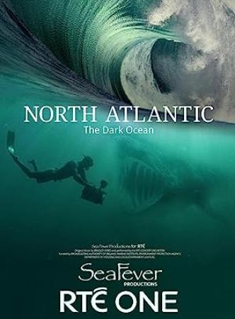 North Atlantic The Dark Ocean S01E02 1080p HEVC x265-MeGusta[eztv]
