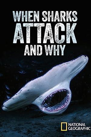 When Sharks Attack And Why S01E04 XviD-AFG[eztv]