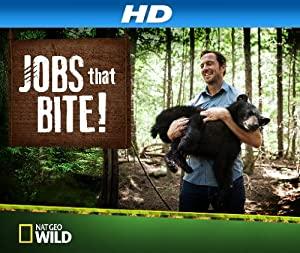 Jobs That Bite S01E01 The Lion Dentist CONVERT 720p HDTV x264-MoTv