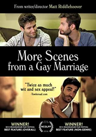 More Scenes from a Gay Marriage 2014 DVDRip x264-iNT