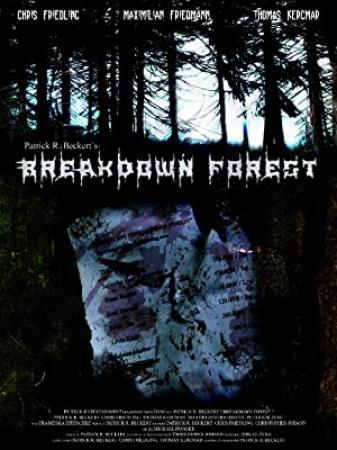Breakdown Forest (2019) 720p HDRip - [Hindi + Eng] - 800MB