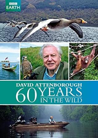 Attenborough 60 Years in the Wild (2012) Season 1 S01 + Extras (1080p BluRay x265 HEVC 10bit AAC 2.0 RZeroX)