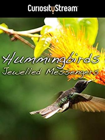 Hummingbirds Jewelled Messengers 2012 WEBRip XviD MP3-XVID