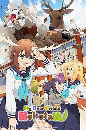 My Deer Friend Nokotan S01E12 720p HEVC x265-MeGusta