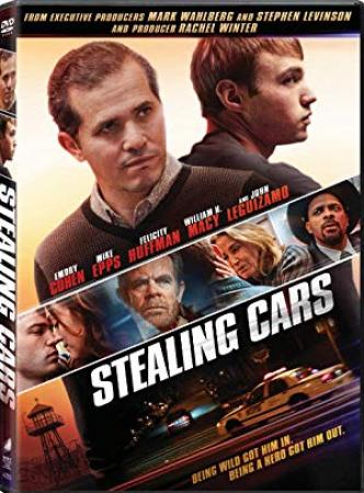 Stealing Cars [BluRay Rip][AC3 5.1 Español Castellano][2016]