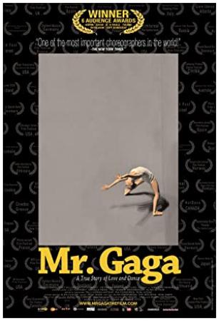 Mr Gaga 2015 iTALiAN AC3 DVDRip XviD-GBM