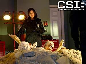 CSI Las Vegas 14x14 Vite Incrociate ITA 720p DLMux DD 5.1 h264-NovaRip