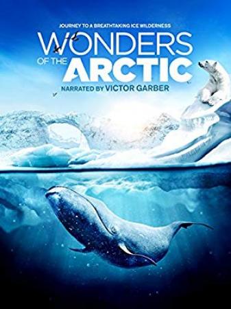 Wonders of the Arctic 3D 2014 1080p BluRay x264-GUACAMOLE[PRiME]