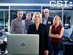 CSI S14E21 Kitty 1080p WEB-DL DD 5.1 H.264-CtrlHD [PublicHD]