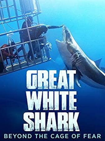Great White Shark-Beyond the Cage of Fear 2013 WEBRip XviD MP3-XVID