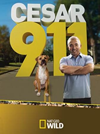 Cesar 911 S01E02 Boss with a Bark HDTV XviD-AFG