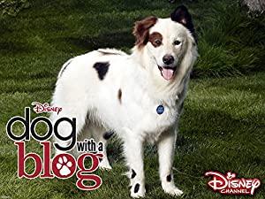 Dog With a Blog S03E06 Stan Steals Christmas 480p HDTV x264-mSD