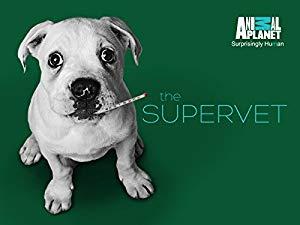 The Supervet S15E00 Puppy Special XviD-AFG[eztv]