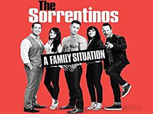 The Sorrentinos S01E04 An Awkward Situation WS DSR x264-NY2