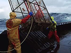 Deadliest Catch S10E10 Fishermans Daughter HDTV x264-FUM[ettv]