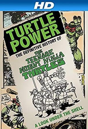 Turtle Power The Definitive History of the Teenage Mutant Ninja Turtles 2014 1080p WEBRip x264-RARBG