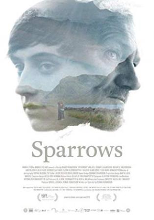 Sparrows 2015 DVDRip x264-BiPOLAR[EtMovies]