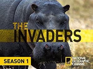 The Invaders 2011 S01E05 Coyote Army 480p HDTV x264-mSD