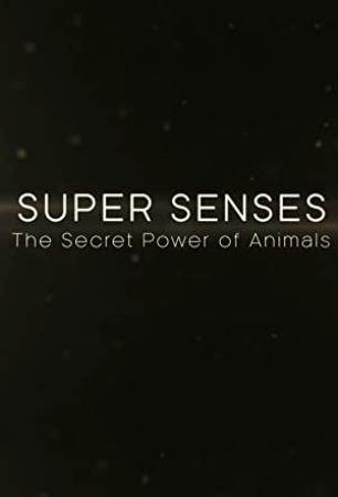 Super Senses The Secret Power Of Animals S01E02 HDTV XviD-AFG