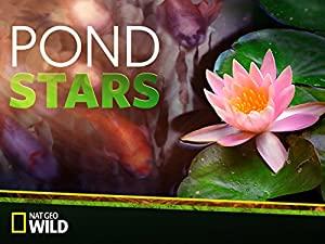 Pond Stars S01E03 Welcome to the Jungle HDTV XviD-AFG
