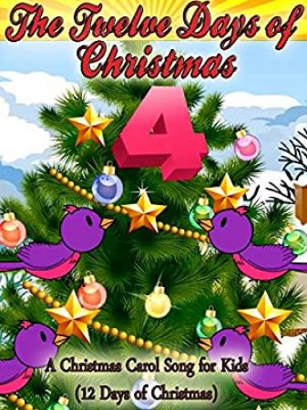 12 Days of Christmas 2020 WEB-DL XviD MP3-FGT