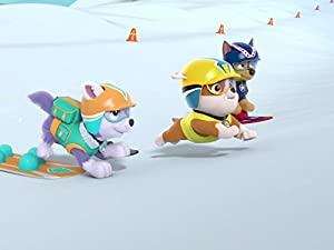 PAW Patrol S02E23 Pups Save the Woof and Roll Show - Pups Save an Eagle 720p WEBRip x264