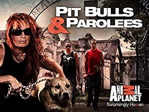 Pit Bulls and Parolees S06E09 Giving Thanks 720p HDTV x264-DHD[et]