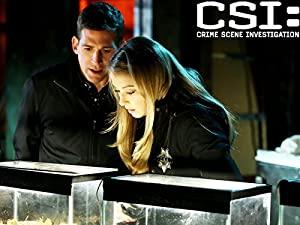 CSI Crime Scene Investigation S15E17 1080p WEB-DL NL-Subs