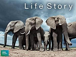 [ Hey visit  ]Life Story S01E04 HDTV XviD-AFG