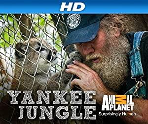 Yankee Jungle S01E01 The Big Thaw HDTV XviD-AFG