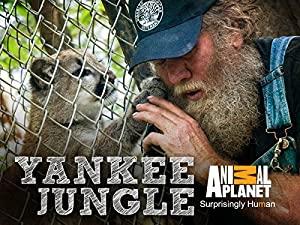 Yankee Jungle S01E02 Main Miracle 480p HDTV x264-mSD