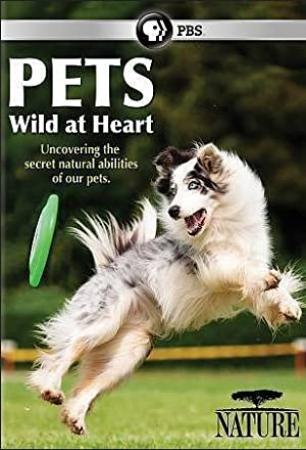 Pets - Wild at Heart