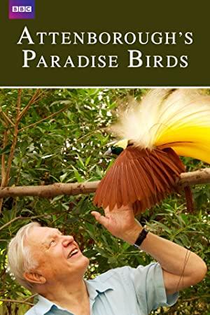 Attenborough's Paradise Birds (2015) (1080p AMZN WEB-DL x265 HEVC 10bit EAC3 2.0 afm72)