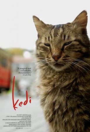 Kedi (2016) [1080p] [YTS]